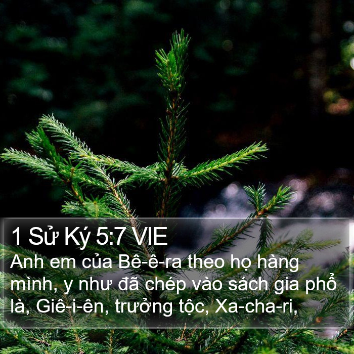 1 Sử Ký 5:7 VIE Bible Study