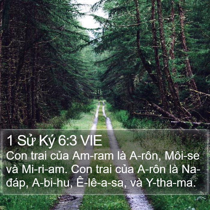 1 Sử Ký 6:3 VIE Bible Study