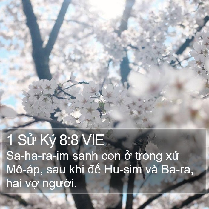 1 Sử Ký 8:8 VIE Bible Study