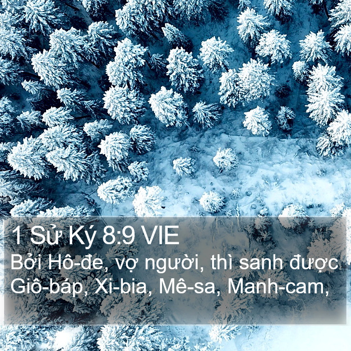 1 Sử Ký 8:9 VIE Bible Study