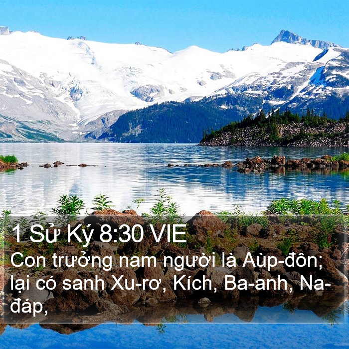 1 Sử Ký 8:30 VIE Bible Study