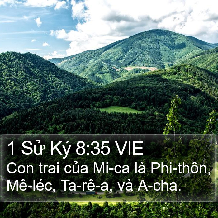 1 Sử Ký 8:35 VIE Bible Study