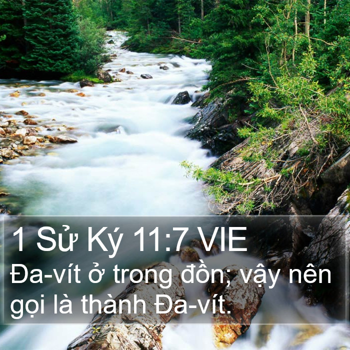 1 Sử Ký 11:7 VIE Bible Study