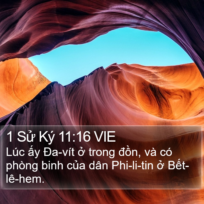 1 Sử Ký 11:16 VIE Bible Study