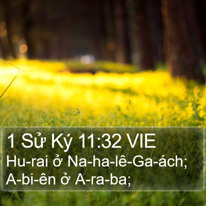 1 Sử Ký 11:32 VIE Bible Study
