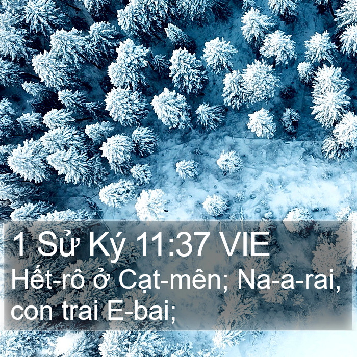1 Sử Ký 11:37 VIE Bible Study