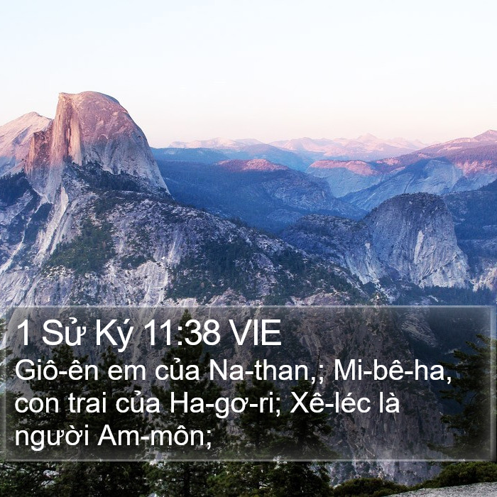 1 Sử Ký 11:38 VIE Bible Study