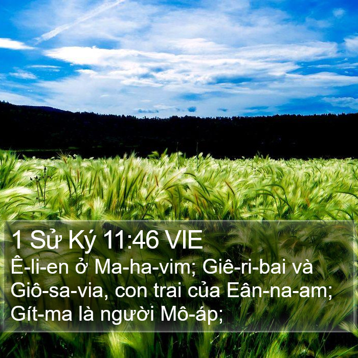 1 Sử Ký 11:46 VIE Bible Study