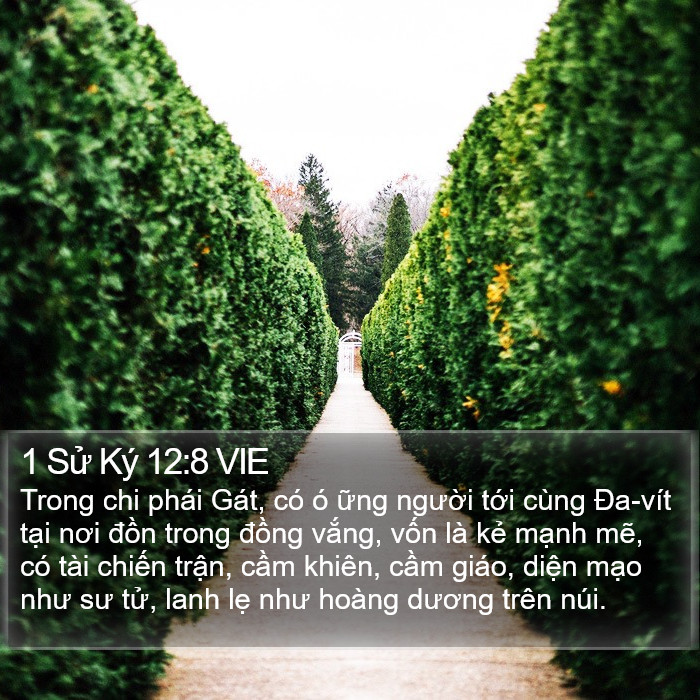 1 Sử Ký 12:8 VIE Bible Study