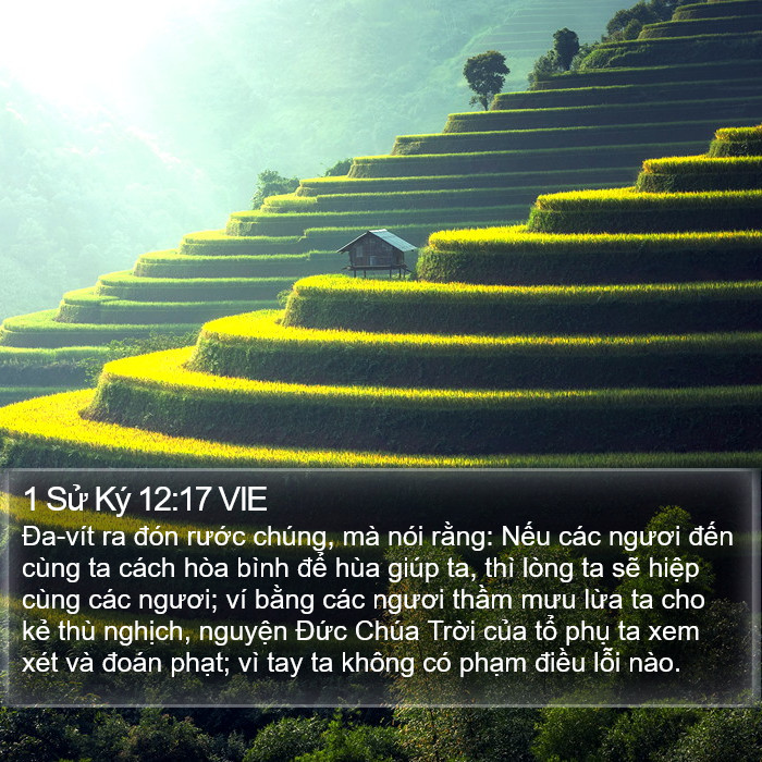 1 Sử Ký 12:17 VIE Bible Study