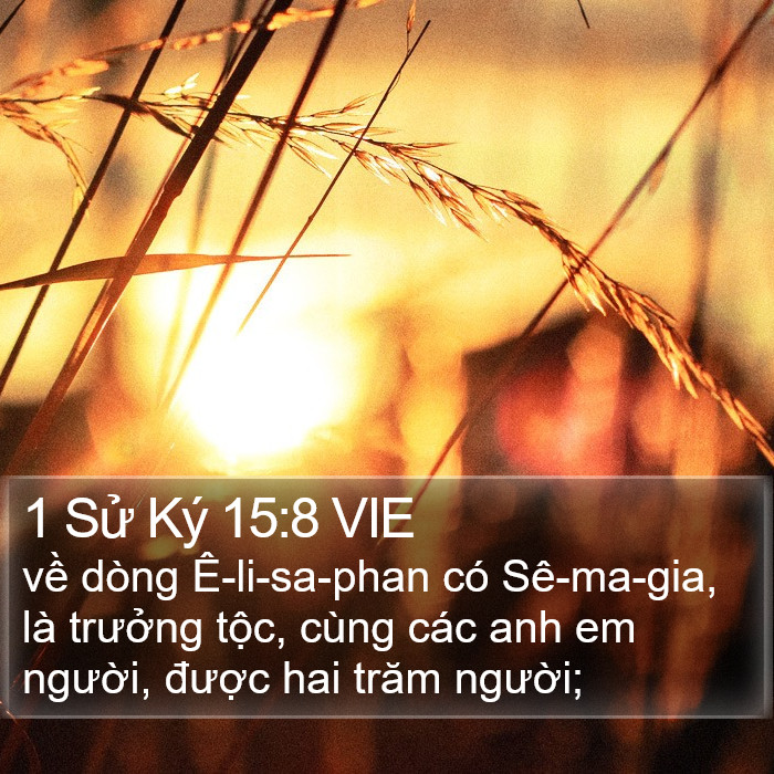 1 Sử Ký 15:8 VIE Bible Study