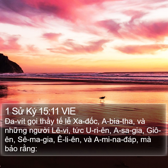 1 Sử Ký 15:11 VIE Bible Study