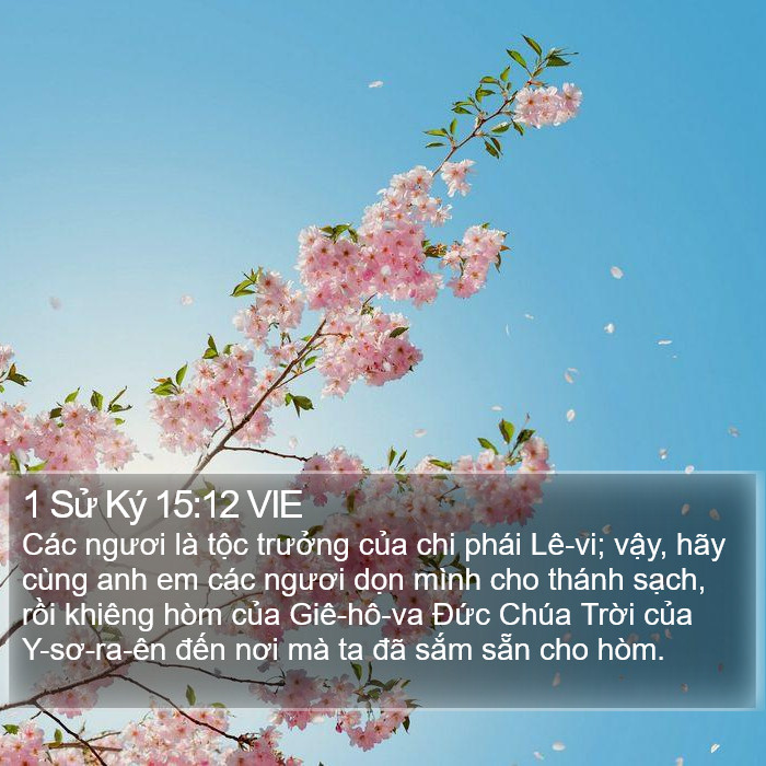 1 Sử Ký 15:12 VIE Bible Study