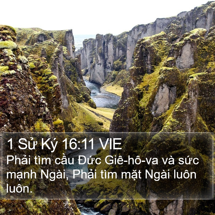 1 Sử Ký 16:11 VIE Bible Study