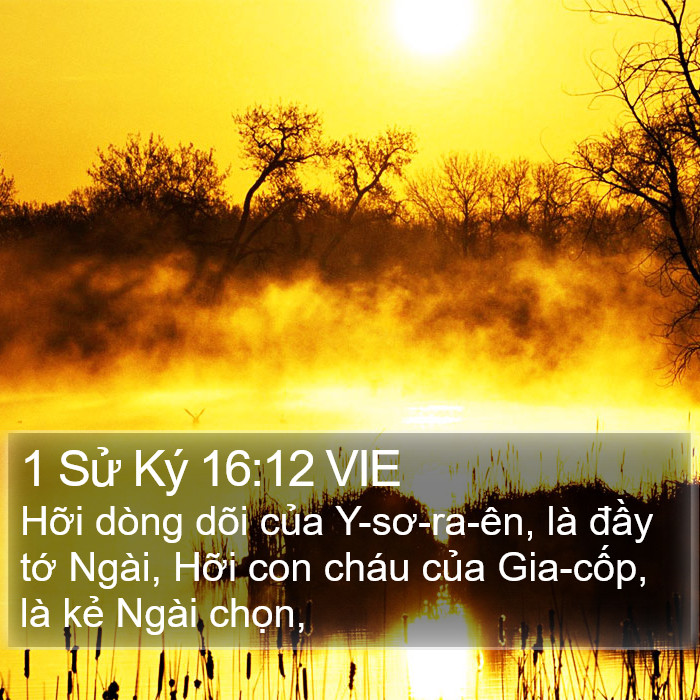 1 Sử Ký 16:12 VIE Bible Study