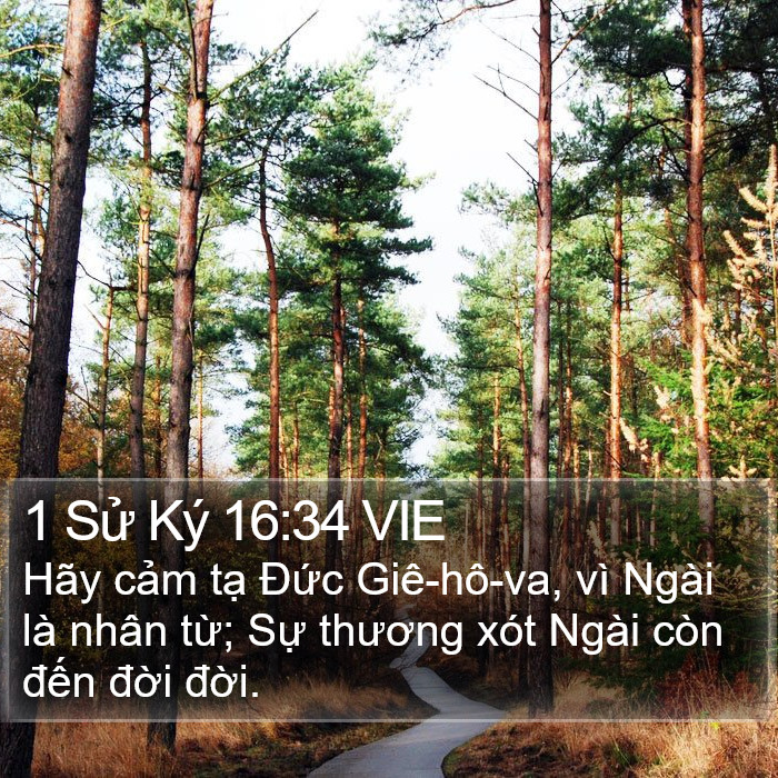 1 Sử Ký 16:34 VIE Bible Study