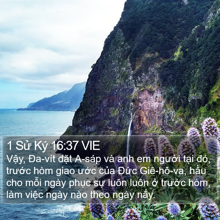 1 Sử Ký 16:37 VIE Bible Study