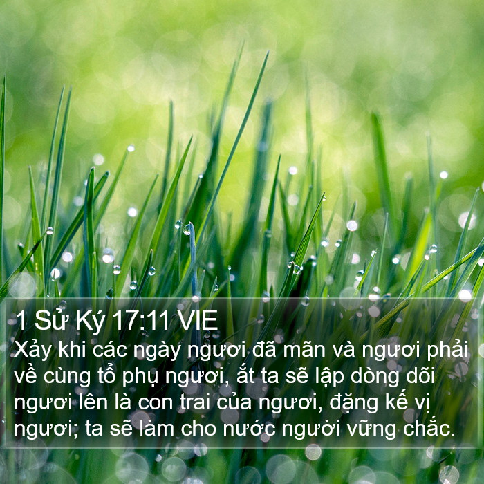 1 Sử Ký 17:11 VIE Bible Study