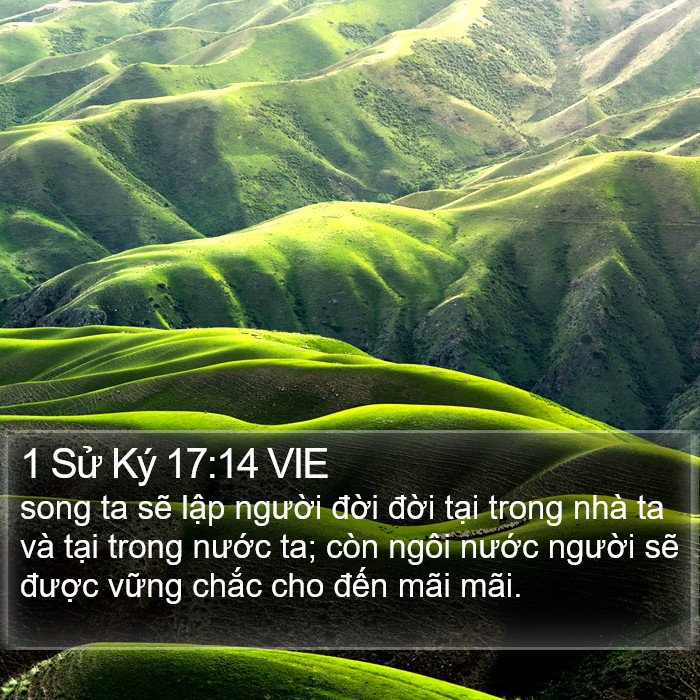 1 Sử Ký 17:14 VIE Bible Study