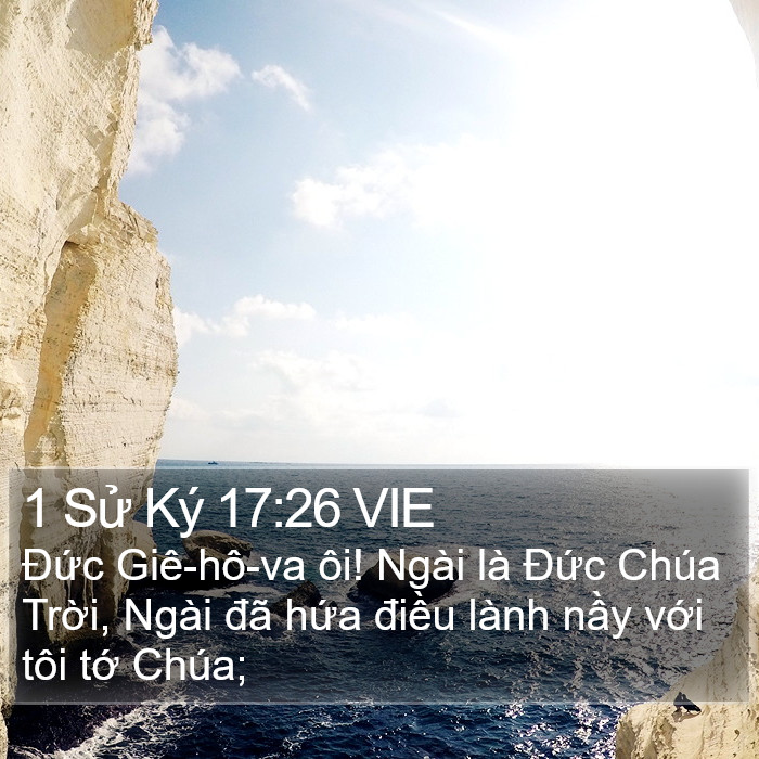 1 Sử Ký 17:26 VIE Bible Study