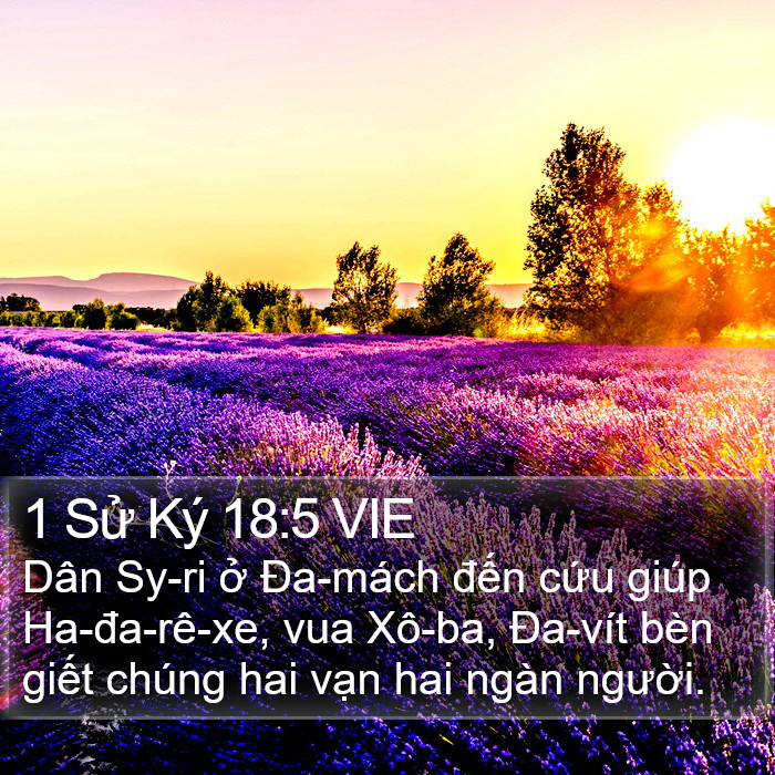 1 Sử Ký 18:5 VIE Bible Study