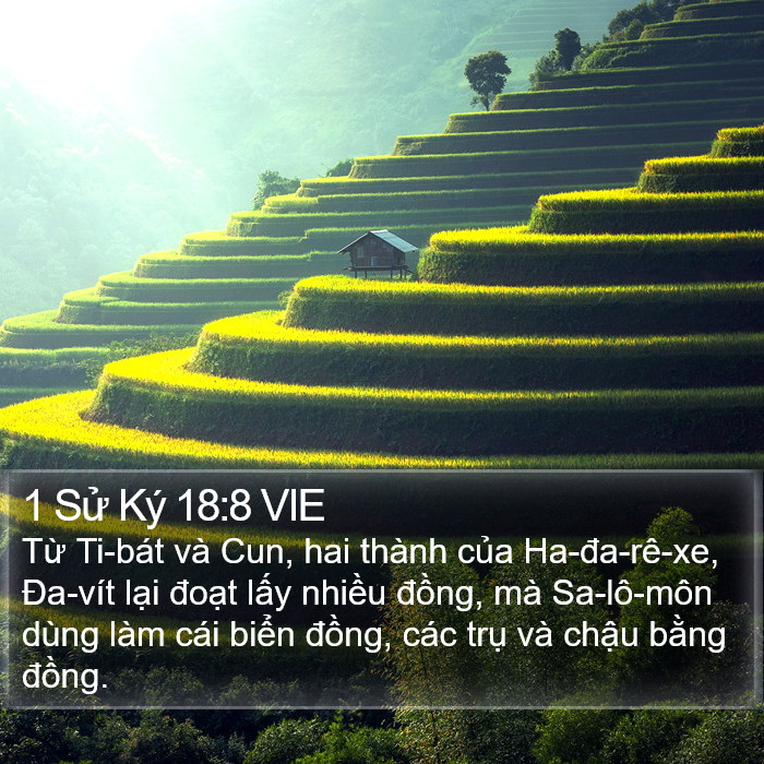 1 Sử Ký 18:8 VIE Bible Study