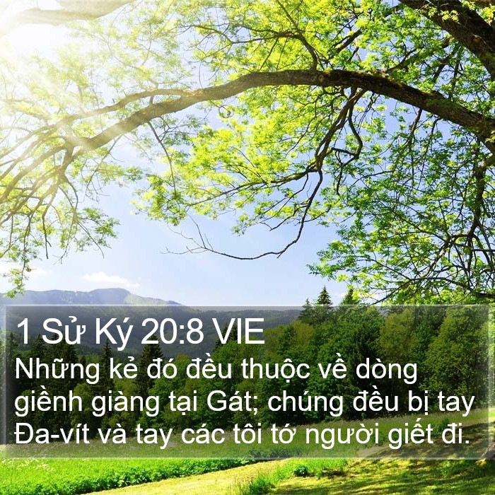 1 Sử Ký 20:8 VIE Bible Study