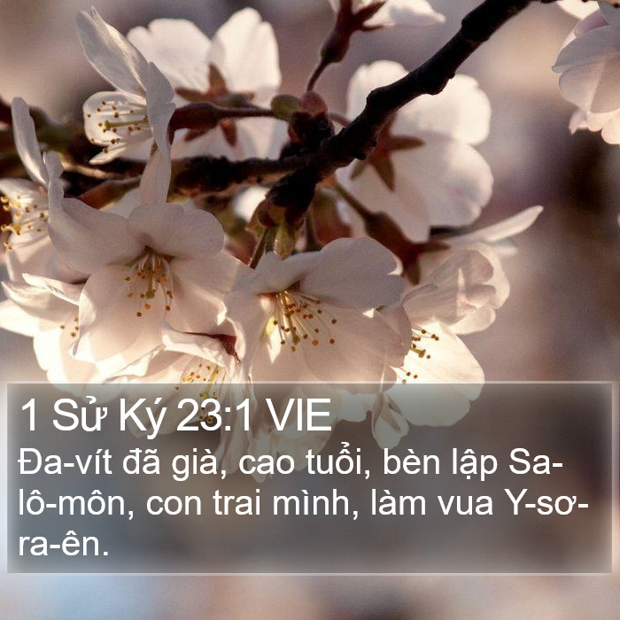 1 Sử Ký 23:1 VIE Bible Study