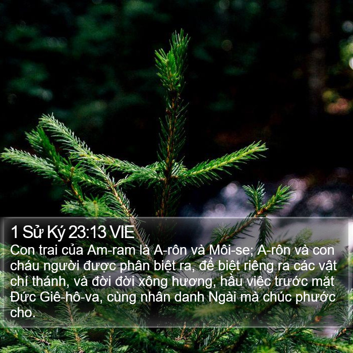 1 Sử Ký 23:13 VIE Bible Study