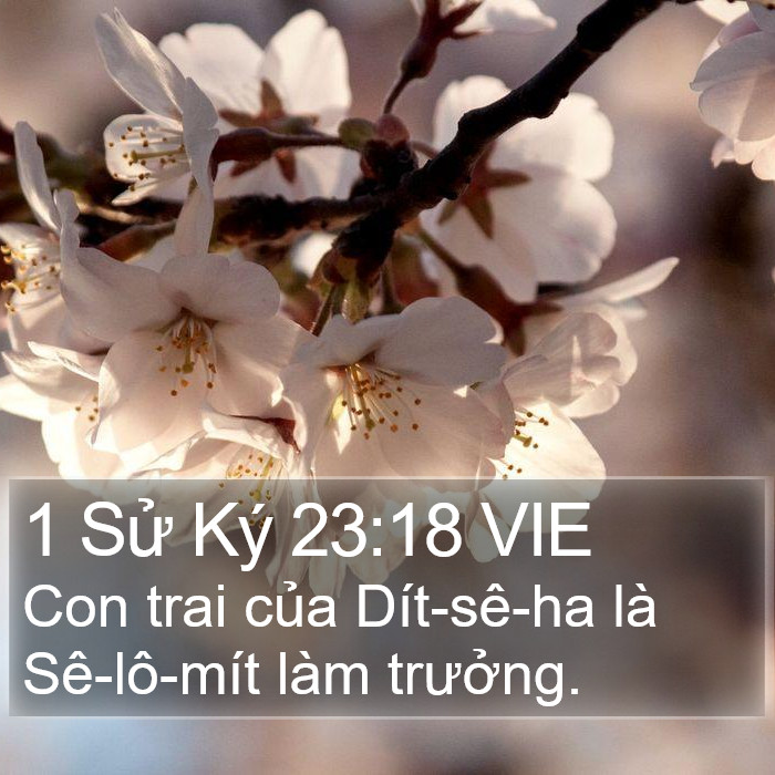 1 Sử Ký 23:18 VIE Bible Study