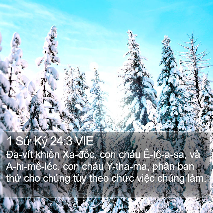 1 Sử Ký 24:3 VIE Bible Study