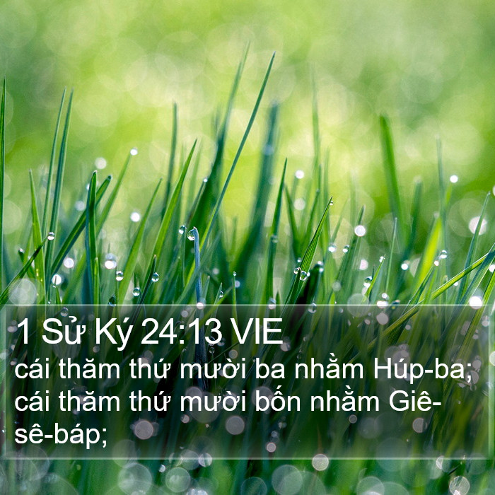 1 Sử Ký 24:13 VIE Bible Study