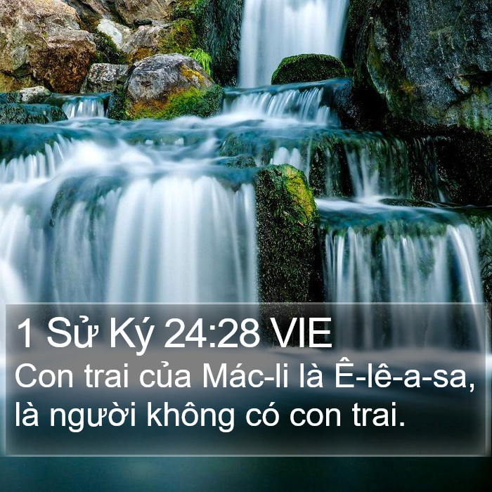 1 Sử Ký 24:28 VIE Bible Study