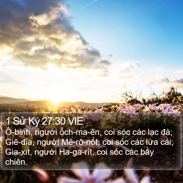 1 Sử Ký 27:30 VIE Bible Study