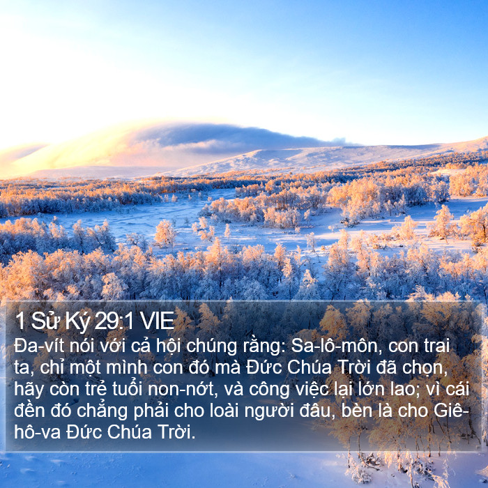 1 Sử Ký 29:1 VIE Bible Study