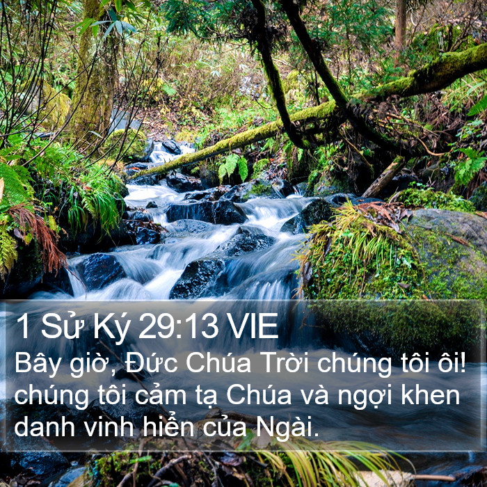 1 Sử Ký 29:13 VIE Bible Study