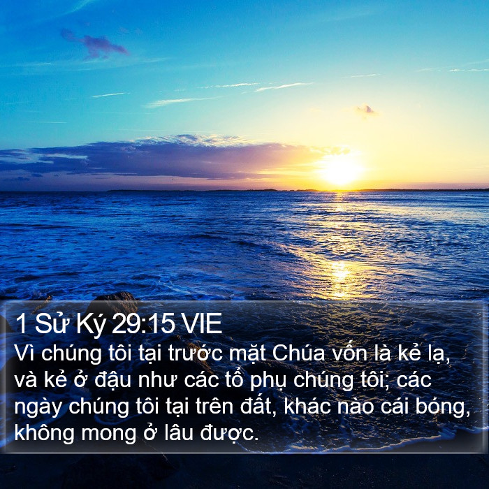 1 Sử Ký 29:15 VIE Bible Study