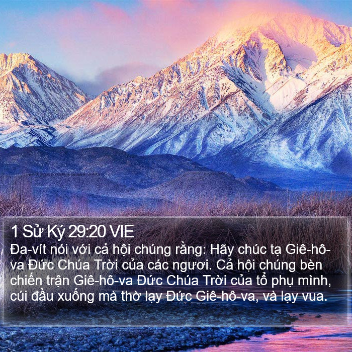 1 Sử Ký 29:20 VIE Bible Study