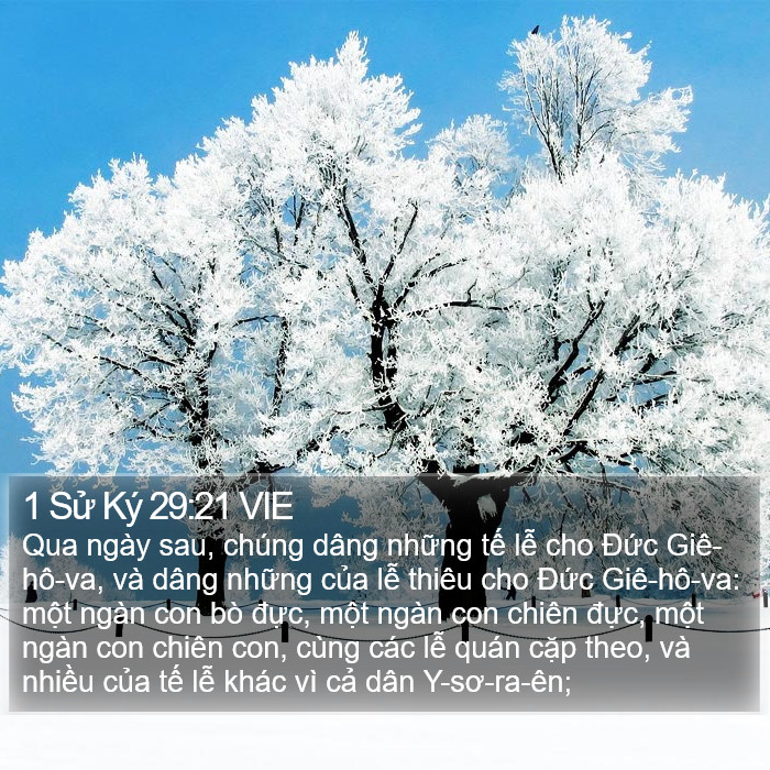 1 Sử Ký 29:21 VIE Bible Study