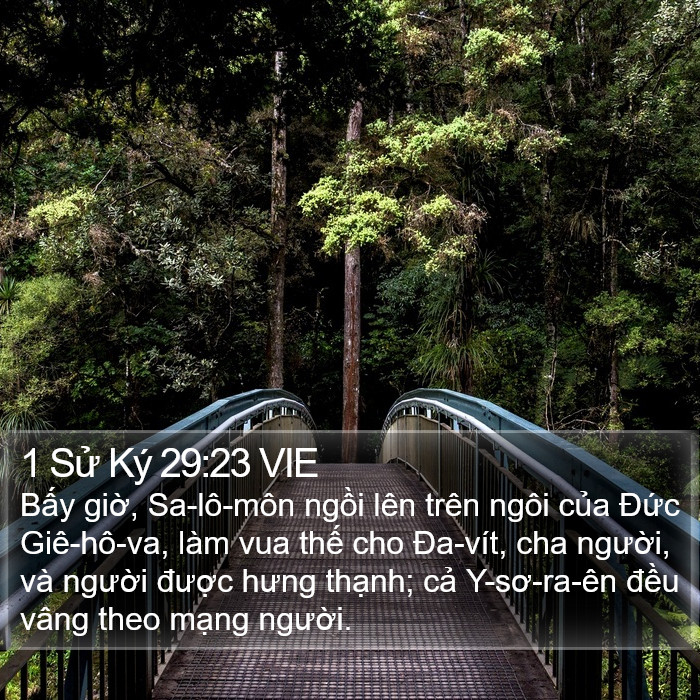 1 Sử Ký 29:23 VIE Bible Study