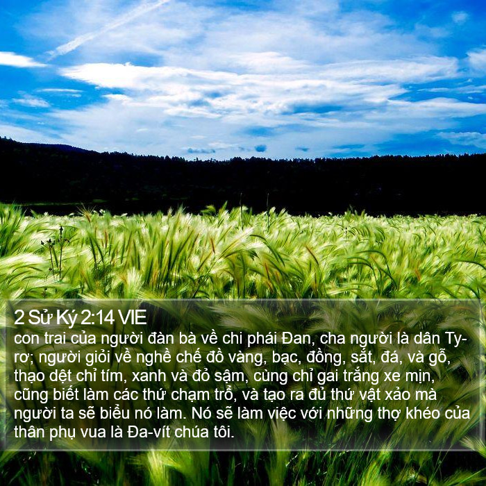 2 Sử Ký 2:14 VIE Bible Study
