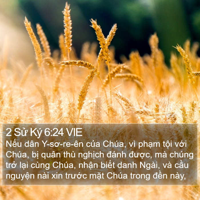2 Sử Ký 6:24 VIE Bible Study