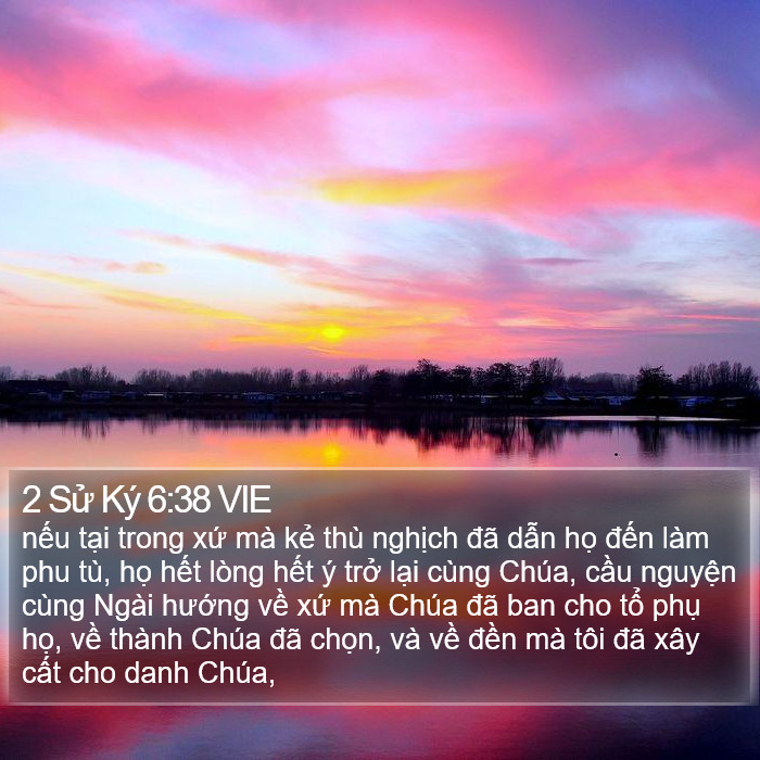 2 Sử Ký 6:38 VIE Bible Study