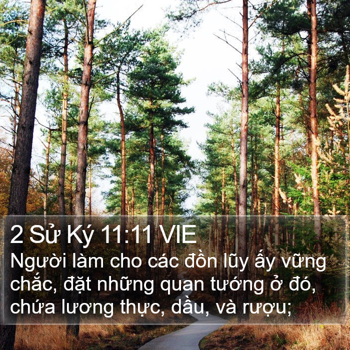 2 Sử Ký 11:11 VIE Bible Study