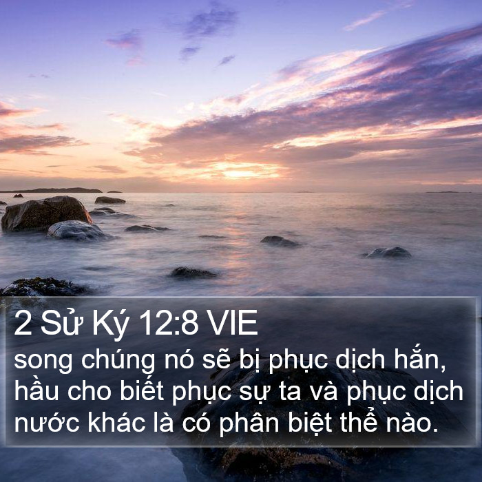 2 Sử Ký 12:8 VIE Bible Study