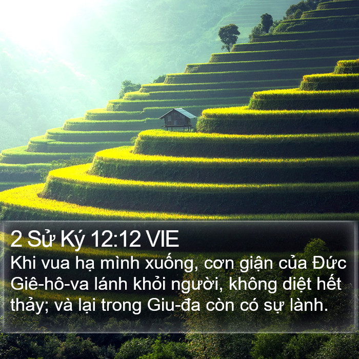 2 Sử Ký 12:12 VIE Bible Study