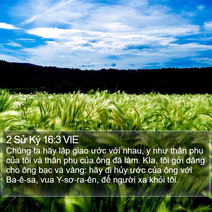 2 Sử Ký 16:3 VIE Bible Study
