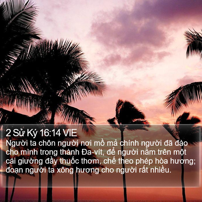 2 Sử Ký 16:14 VIE Bible Study