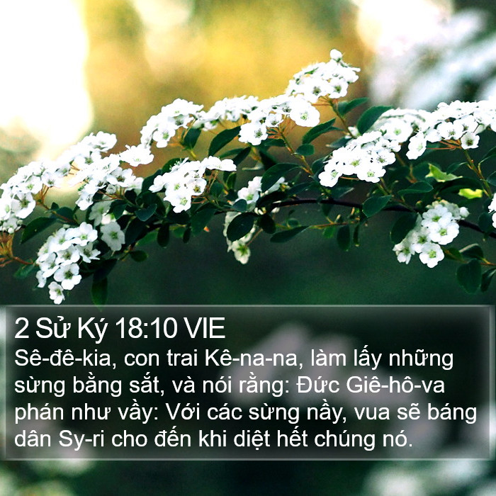 2 Sử Ký 18:10 VIE Bible Study