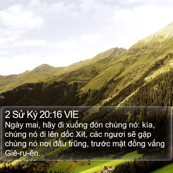 2 Sử Ký 20:16 VIE Bible Study